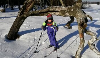 Běžky, skialpy v okolí Sněžníku