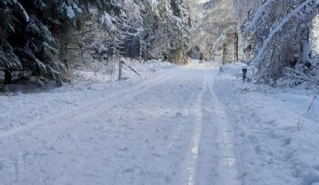 Bílá stopa v areálu Sněžník – Tisá