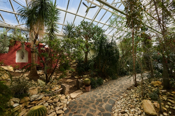 Botanická zahrada Teplice. Exotické rostliny. Otevírací doba botanická zahrada Teplice